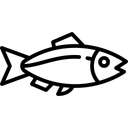 Salmon Icon
